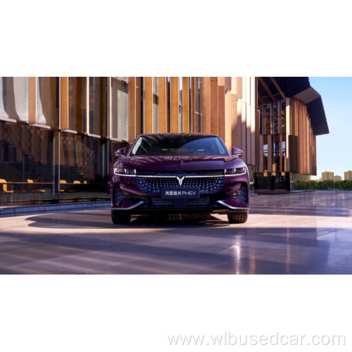 New Energy Automobile Chinese car Voyah passion 2024